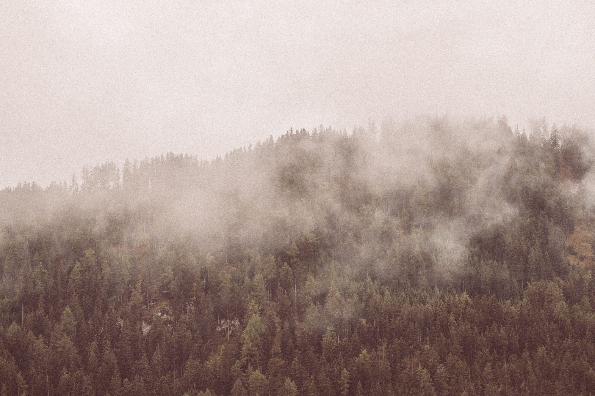 Export x3 1DX23852 Fotoshooting 2018 Annette & Mike Nauders 4